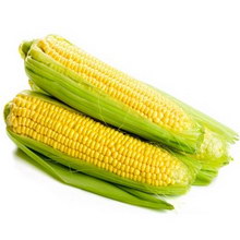 Как вырастить кукурузу